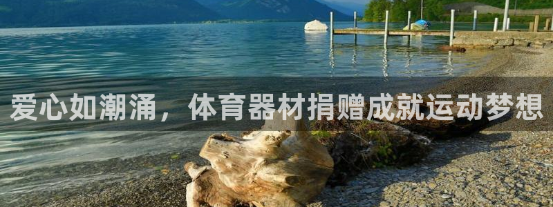 耀世集团小说：爱心如潮涌，体育器材捐赠成就运动梦想