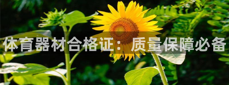 耀世平台可 585341 平台：体育器材合格证：质量