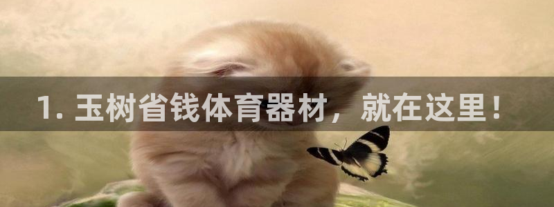 耀世平台有很多登录地址怎么办：1. 玉树省钱体育器材