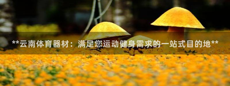 耀世娱乐下载最新版本安装：**云南体育器材：满足您运