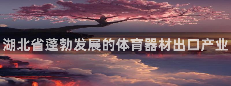 耀世挑战攻略：湖北省蓬勃发展的体育器材出口产业