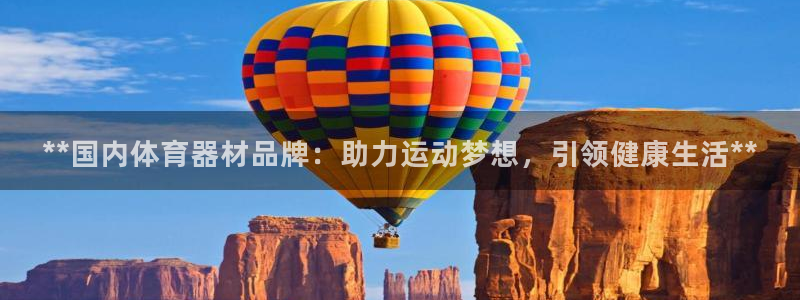 耀世挑战第三关怎么打：**国内体育器材品牌：助力运动