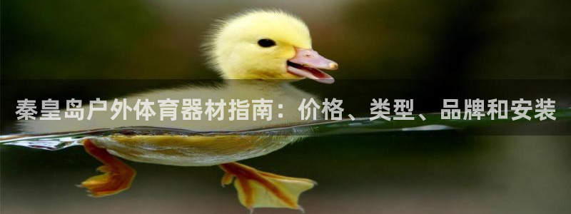 耀世平台皮皮虾怎么样：秦皇岛户外体育器材指南：价格、