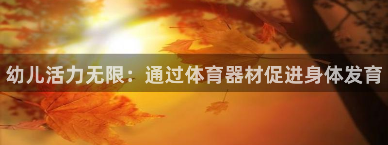 耀世娱乐注册登陆：幼儿活力无限：通过体育器材促进身体