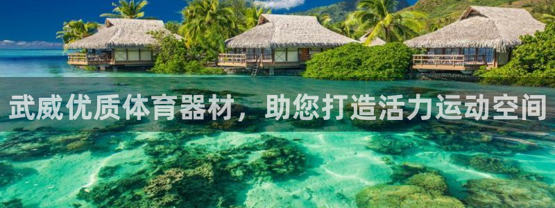 耀世娱乐登陆：武威优质体育器材，助您打造活力运动空间