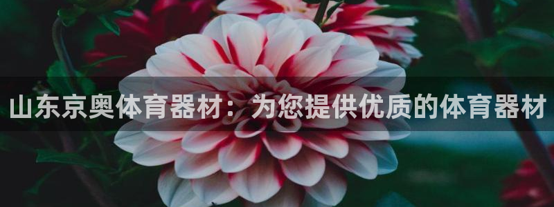 哪吒s耀世版价格：山东京奥体育器材：为您提供优质的体