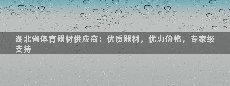 耀世集团商业联盟罗文斌主任：湖北省体育器材供应商：优