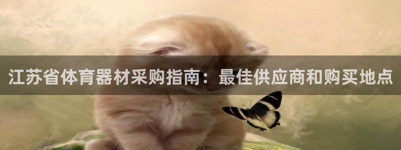 耀世平台代理多少钱一次：江苏省体育器材采购指南：最佳
