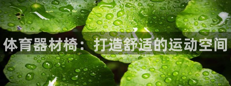 耀世平台寇 5O6917 耀世：体育器材椅：打造舒适