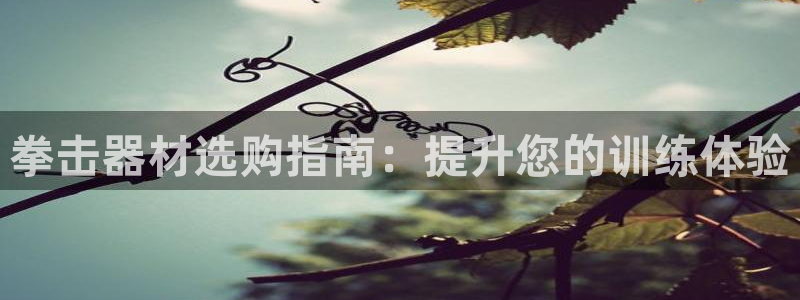 耀世娱乐挂机：拳击器材选购指南：提升您的训练体验