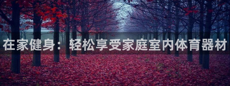 耀世娱乐登陆地址查询：在家健身：轻松享受家庭室内体育