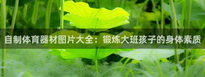 耀世平台无7O777：自制体育器材图片大全：锻炼大班