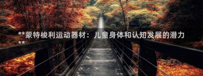 耀世平台有很多登录地址：**蒙特梭利运动器材：儿童身