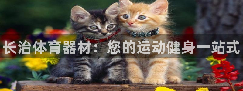 耀世平台最新注册地址在哪：长治体育器材：您的运动健身