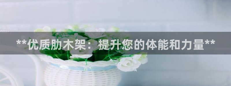 耀世娱乐黑钱吗能退吗：**优质肋木架：提升您的体能和