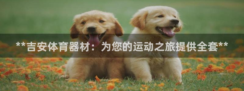 耀世娱乐是不是赚钱了：**吉安体育器材：为您的运动之