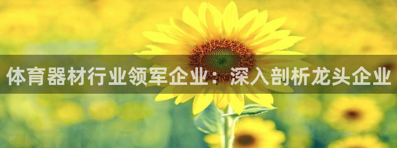 耀世集团王总：体育器材行业领军企业：深入剖析龙头企业