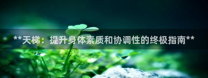 耀世意思：**天梯：提升身体素质和协调性的终极指南*