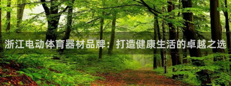 耀世平台是黑台子吗知乎：浙江电动体育器材品牌：打造健
