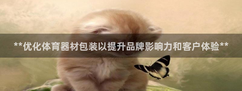 耀世金生产品介绍：**优化体育器材包装以提升品牌影响