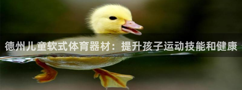 耀世什么意思：德州儿童软式体育器材：提升孩子运动技能