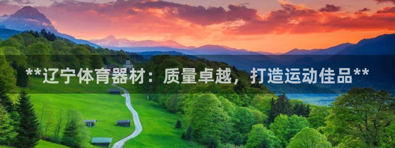 耀世天下的意思：**辽宁体育器材：质量卓越，打造运动