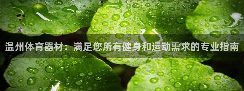 耀世娱乐辅助软件下载：温州体育器材：满足您所有健身和