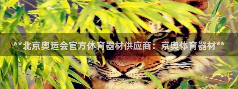 耀世平台嗯 5o69I7：**北京奥运会官方体育器材