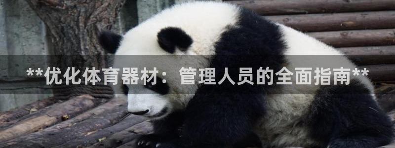 耀世来袭什么意思：**优化体育器材：管理人员的全面指