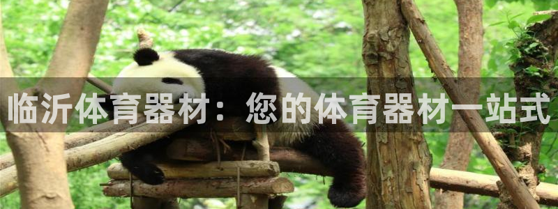 耀世平台嗯 5o69I7：临沂体育器材：您的体育器材