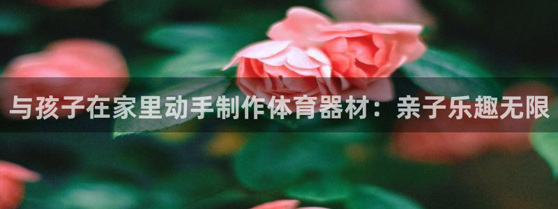 耀世娱乐app下载官网安卓：与孩子在家里动手制作体育