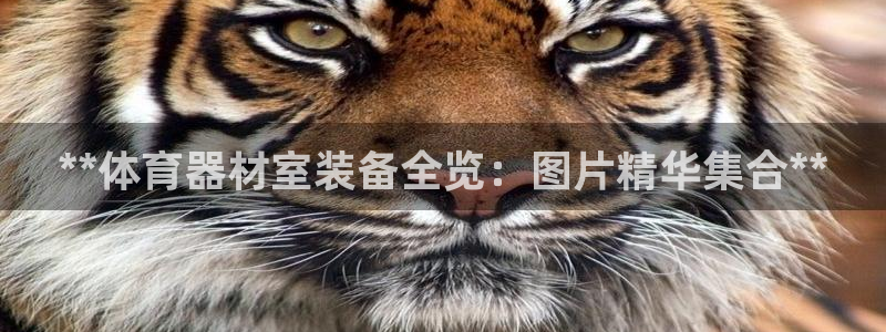 耀世娱乐注册开户要钱吗：**体育器材室装备全览：图片