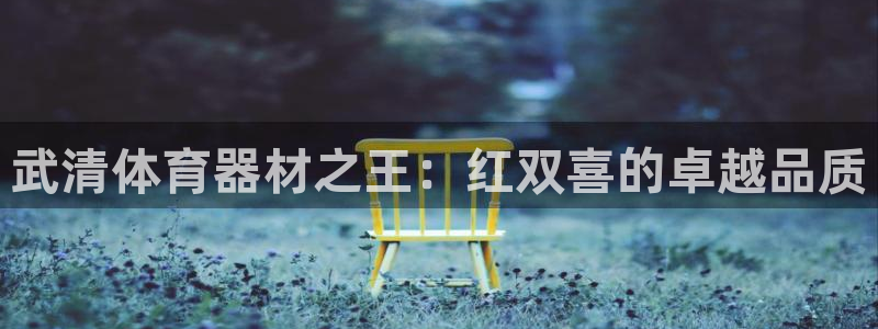 耀世天下的图片唯美：武清体育器材之王：红双喜的卓越品