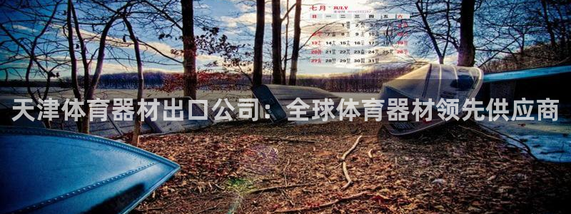 耀世平台注册网址：天津体育器材出口公司：全球体育器材