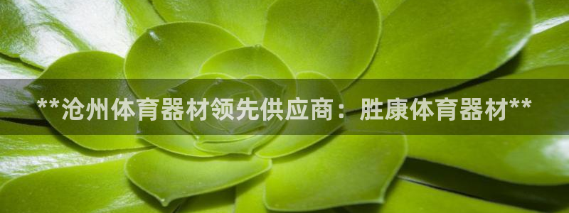 耀世娱乐平台巴7O777：**沧州体育器材领先供应商