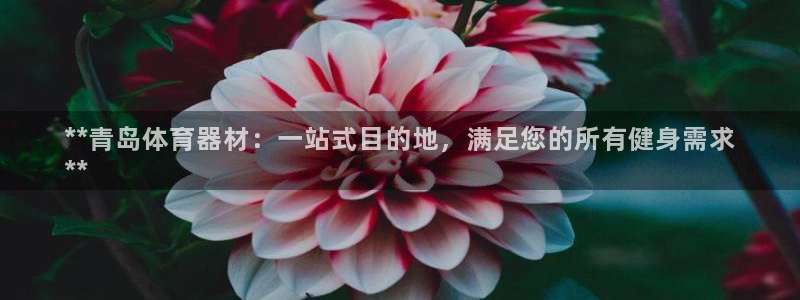 耀世娱乐注册开户流程：**青岛体育器材：一站式目的地
