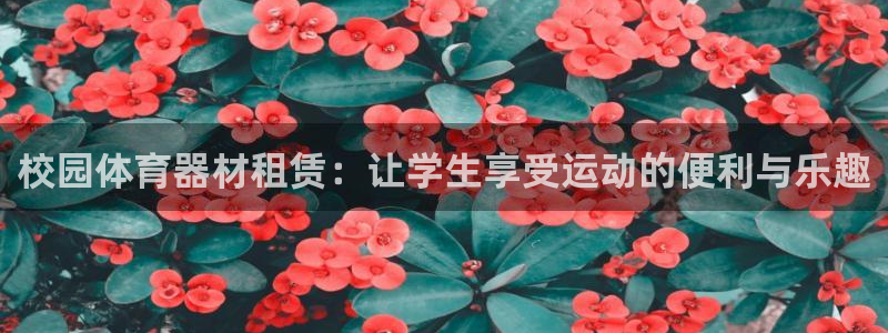 耀世平台招商怎么样：校园体育器材租赁：让学生享受运动