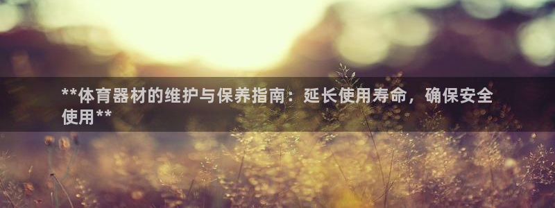 耀世盛典手游下载：**体育器材的维护与保养指南：延长