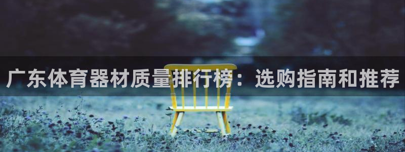 耀世集团董事长简介：广东体育器材质量排行榜：选购指南