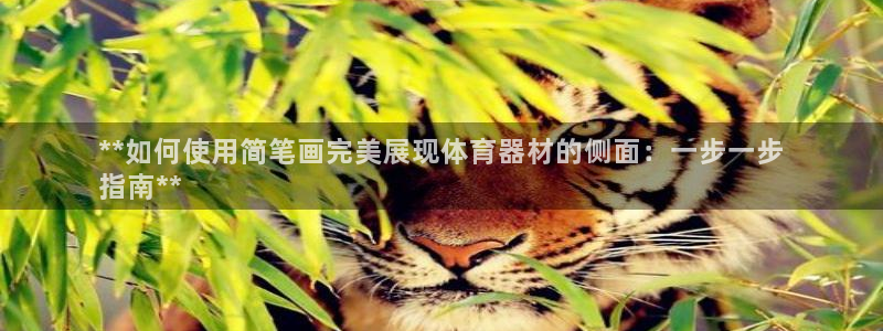 耀世x4：**如何使用简笔画完美展现体育器材的侧面：