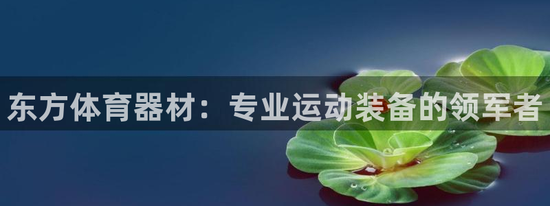 耀世登场的意思：东方体育器材：专业运动装备的领军者