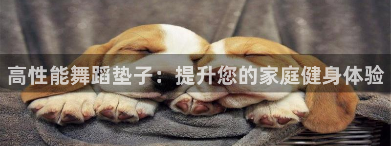 耀世启幕：高性能舞蹈垫子：提升您的家庭健身体验