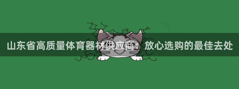 耀世盛典手游下载安装：山东省高质量体育器材供应商：放