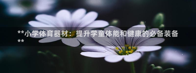 耀世平台是黑台子吗知乎：**小学体育器材：提升学童体