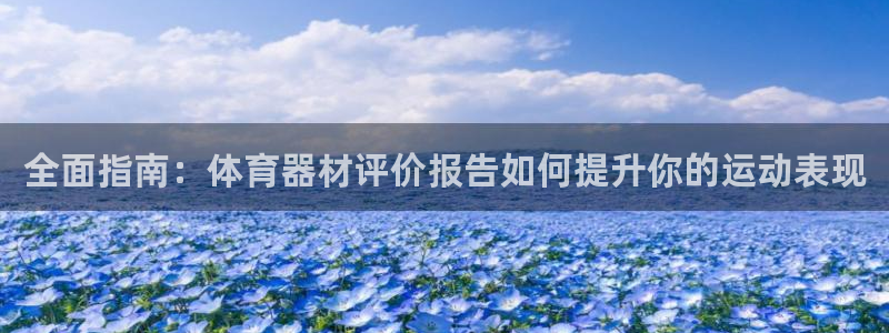 耀世挑战第二关怎么过：全面指南：体育器材评价报告如何
