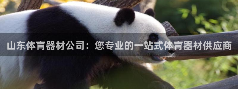 耀世娱乐能不能提现到微信：山东体育器材公司：您专业的