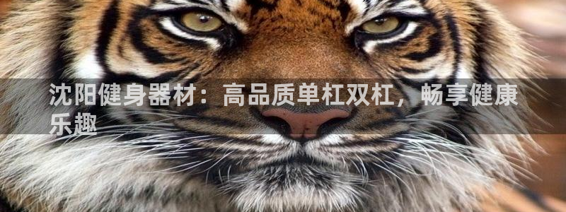 耀世平台注册最新地址在哪：沈阳健身器材：高品质单杠双