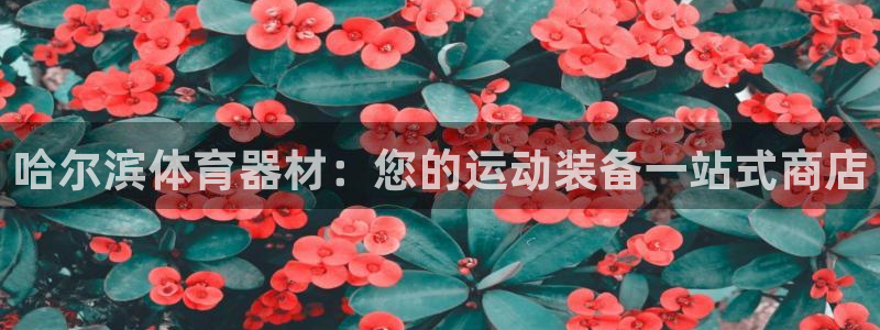 耀世娱乐怎么注册会员：哈尔滨体育器材：您的运动装备一