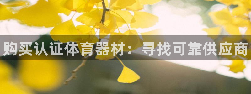 耀世娱乐下载最新版本安装包大全：购买认证体育器材：寻