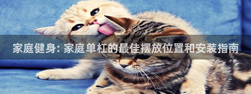 耀世平台代理注册登录：家庭健身: 家庭单杠的最佳摆放